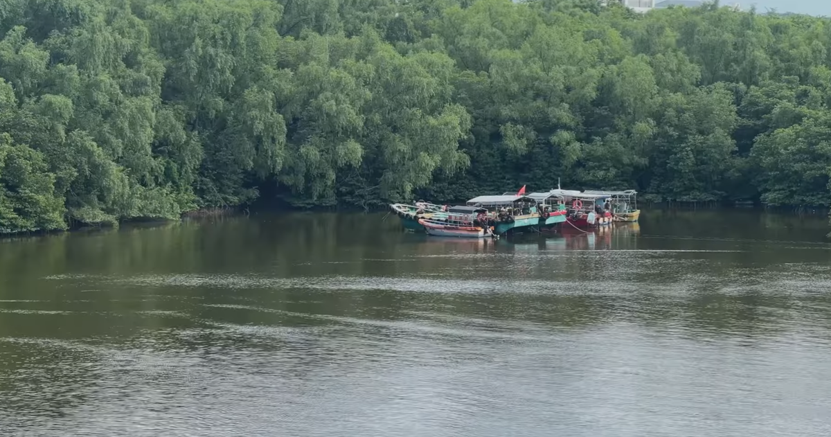 Экскурсии на Хайнане