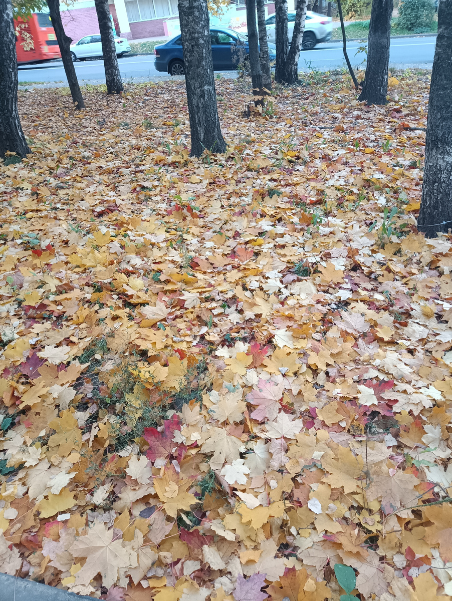 Совсем недавно было так