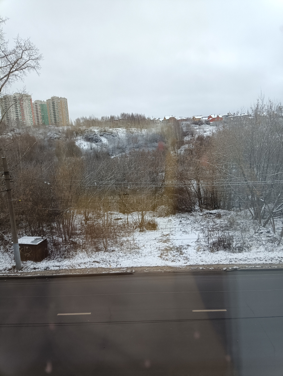 Сегодня вид из окна из рабочего кабинета