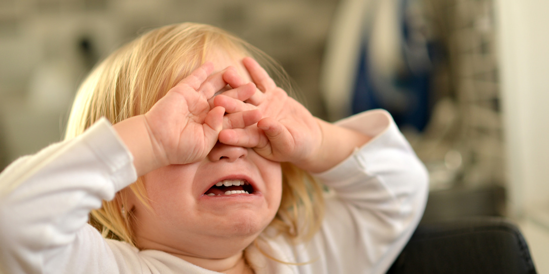 Истерики у ребенка в 2 года