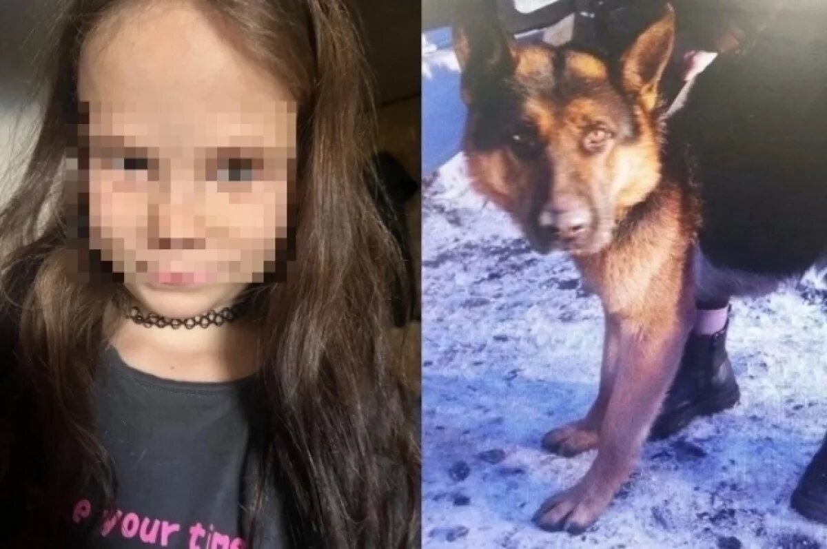    Пострадавшая 7-летняя девочка и собака, которая на нее напала в Черногорске