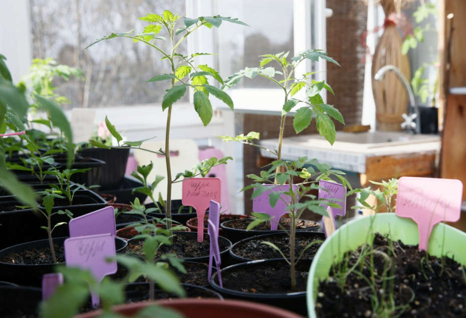    Виталий Белоусов/РИА Новости