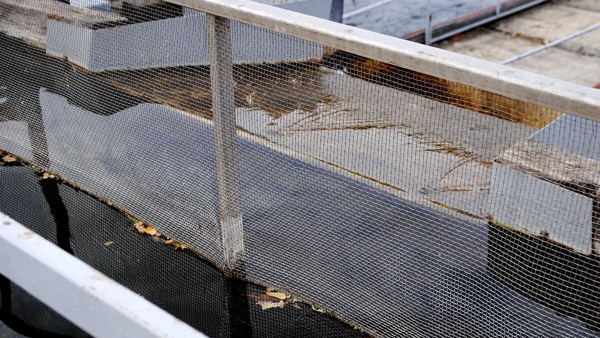    Фото: Сергей Кудрин