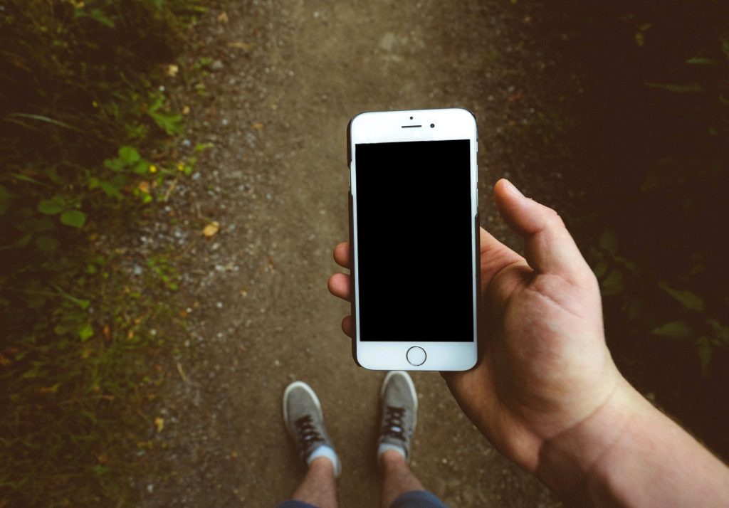    Фото: pixnio.com Василий Шеин