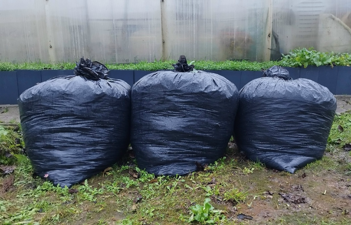 Мешки зимуют рядом с теплицей.