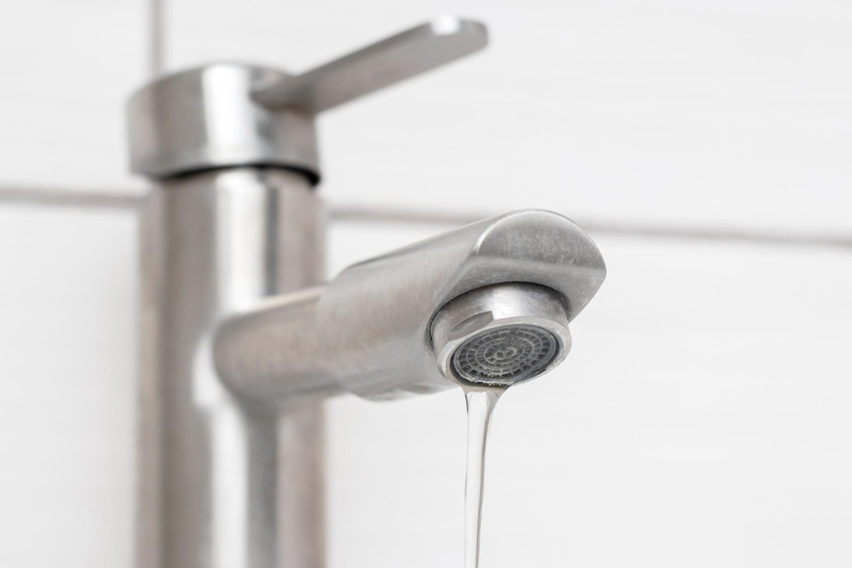 Фото: freepik.com  📷
