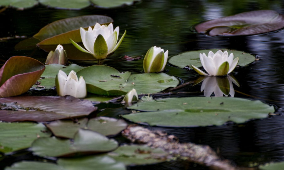 Вода значит чистая