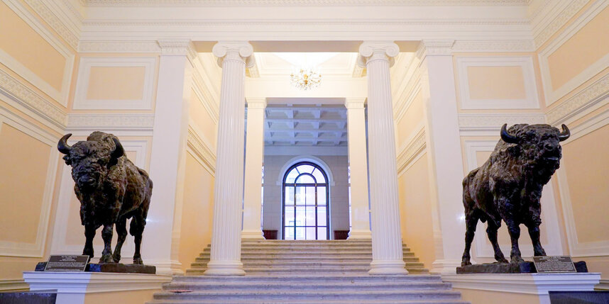    gov.spb.ru