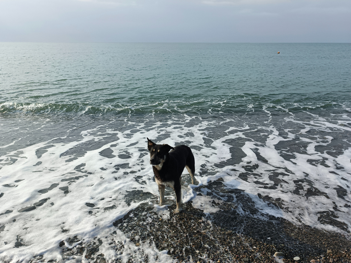 Водные процедуры в море :) Сочи, 16 ноября 2025г. Фото автора