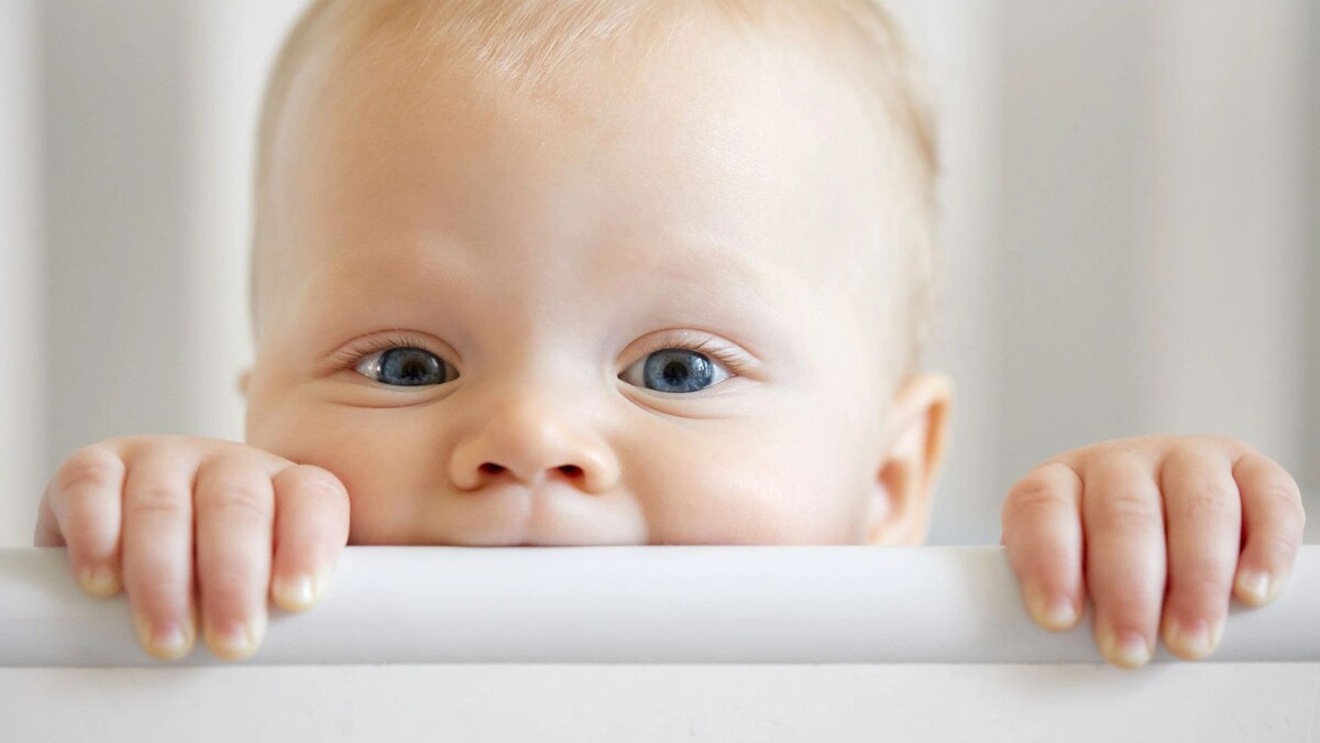    Фото: oes/Shutterstock/Fotodom