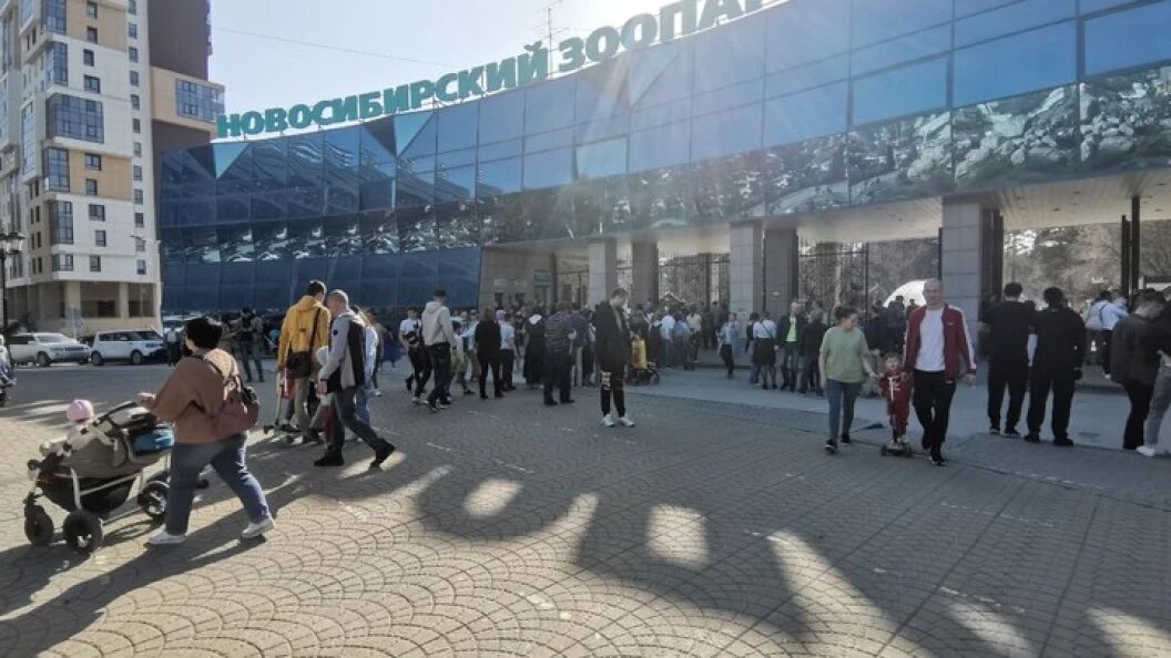    фото: Царьград Новосибирск