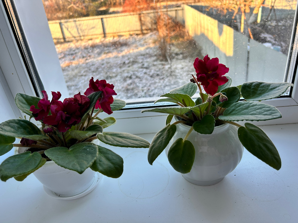 Вид из окна вчера утром