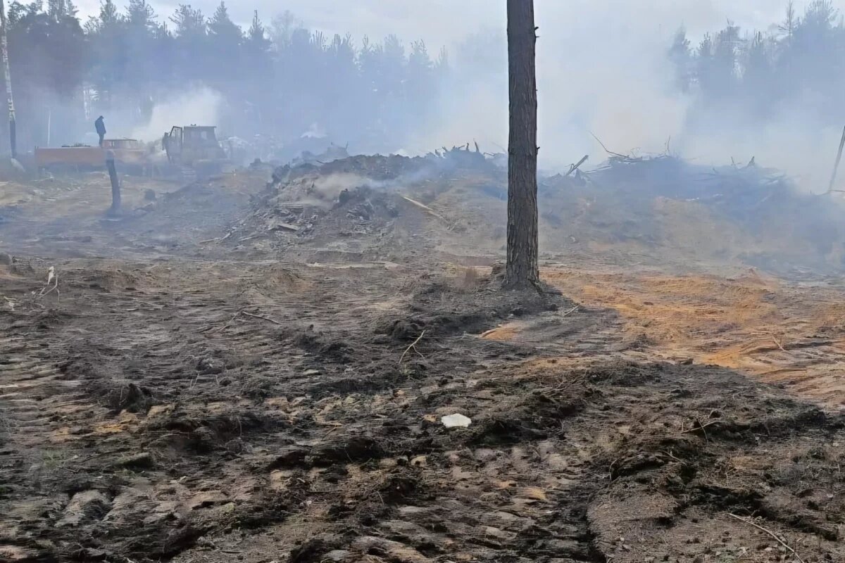    Глава СК России заинтересовался незаконной свалкой в Нижнем Новгороде