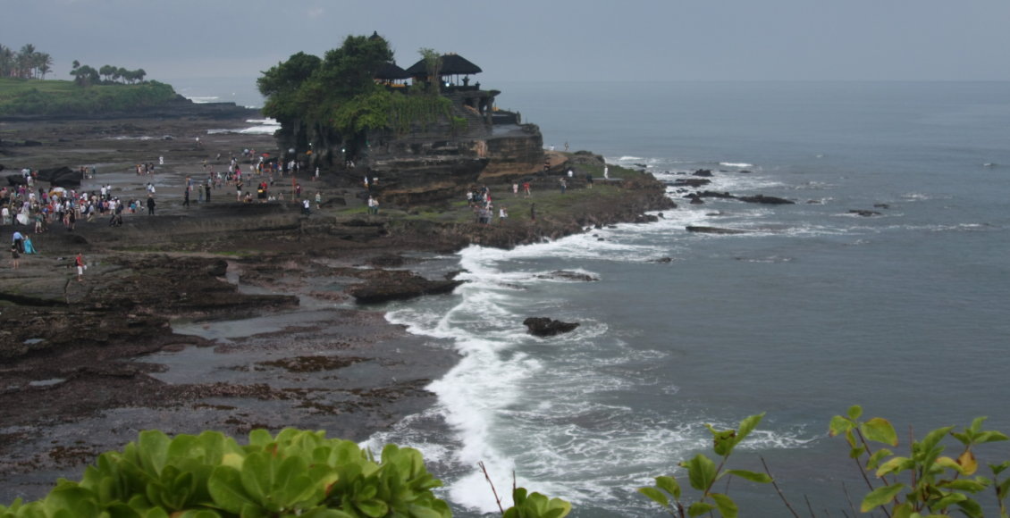    Фото: НИА "Экология"