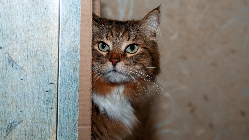    Svetlana Vozmilova/Global Look Press