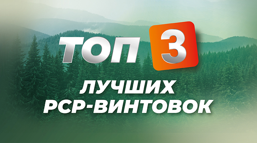 Лучшие PCP-винтовки для новичков