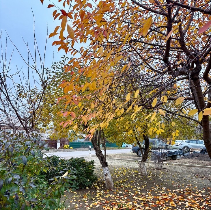    природа Редакция Газеты