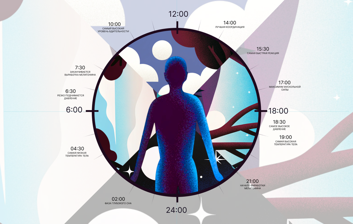 Циркадные ритмы