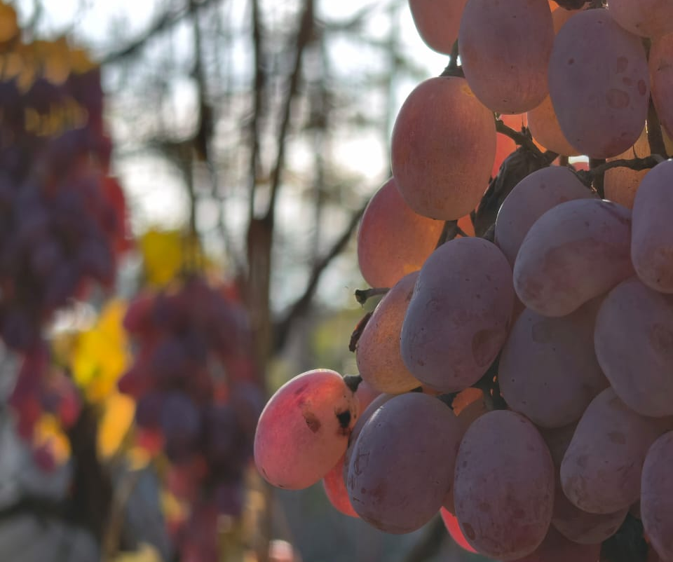    Фото редакции Марина Ецкова