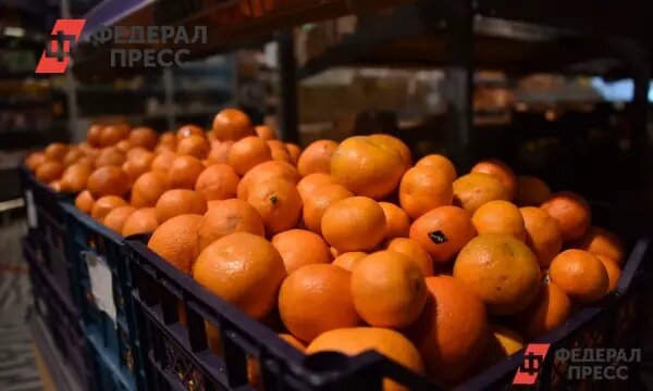    Фото: fedpress.ru Олеся Шмелева