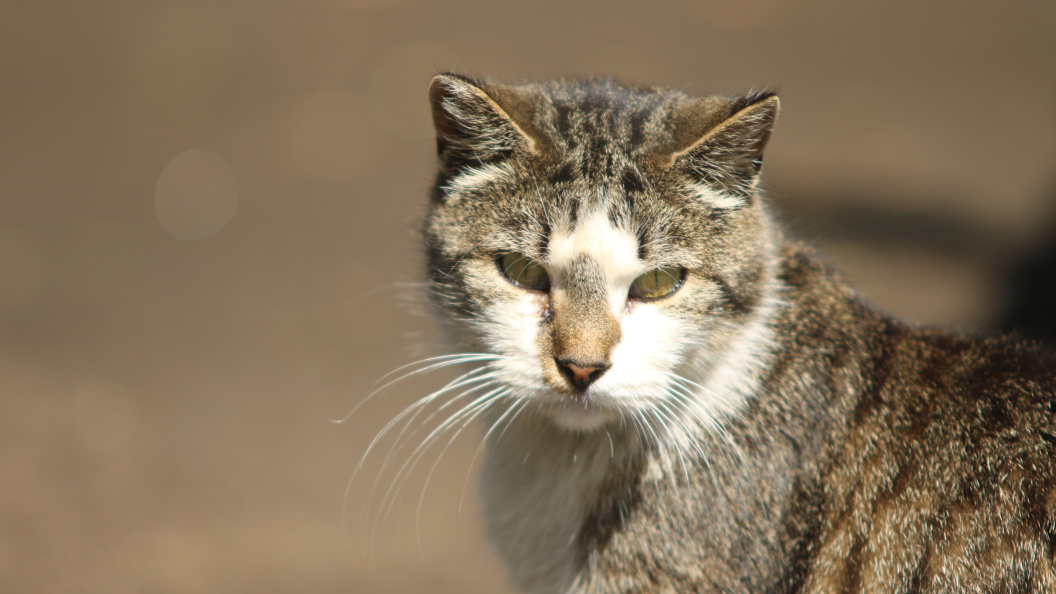    Maksim Konstantinov/Globallookpress