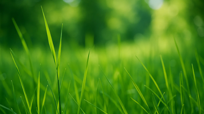 Фото: Изображение создано при помощи нейросети