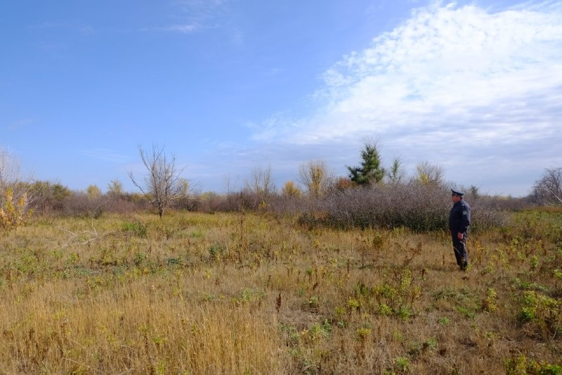    Фото: региональный Россельхознадзор. Газета "Земля"