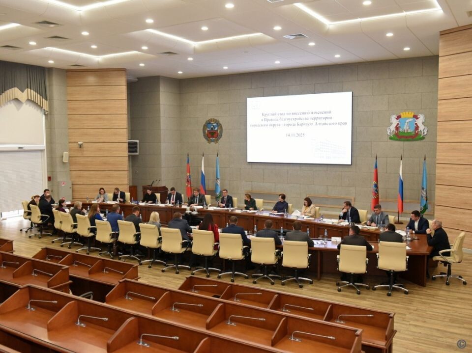    Круглый стол по вопросу внесения изменений в Правила благоустройства. Источник: barnaul.org