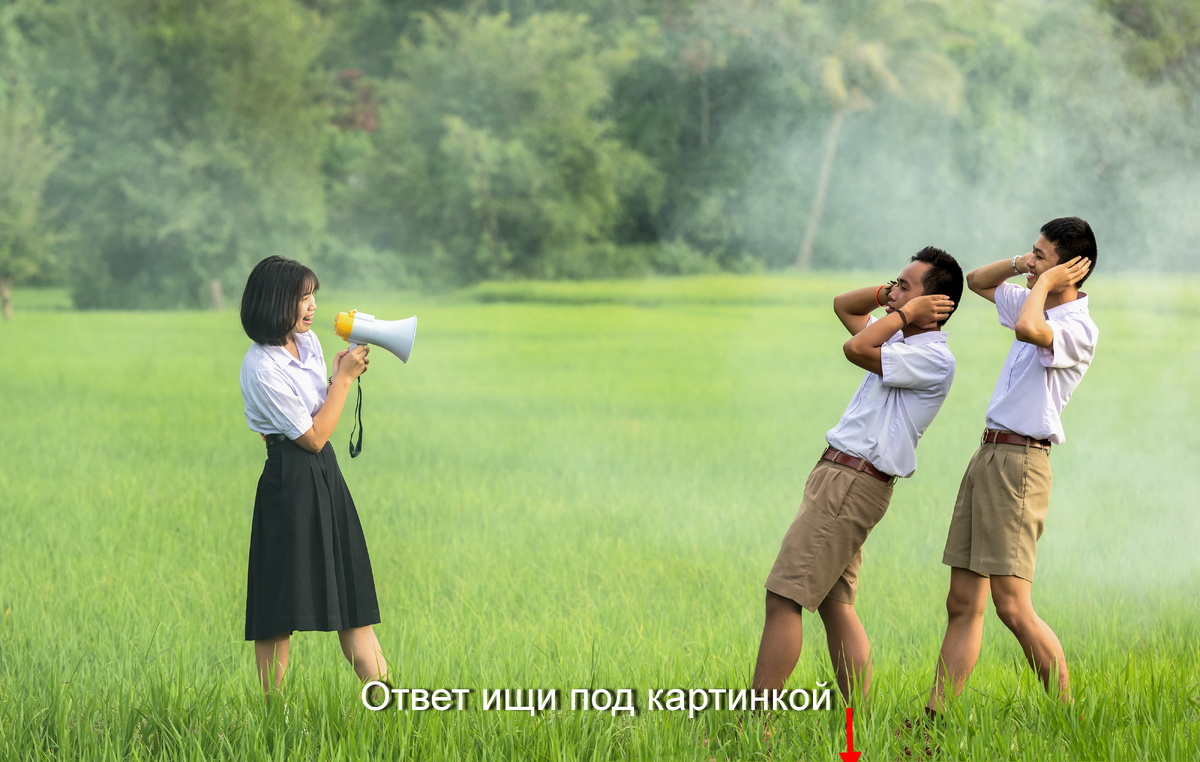  Photo by form PxHere