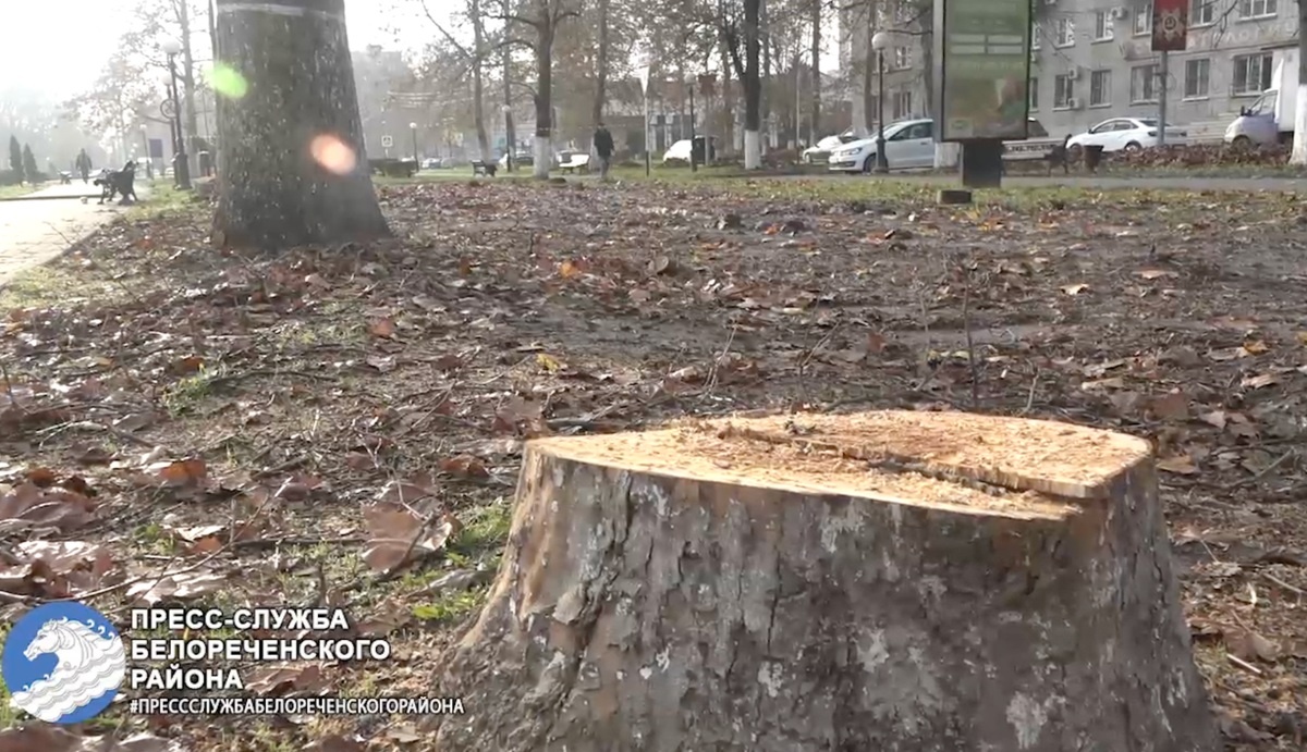    Скриншот видео t.me/belorechenskyrayon