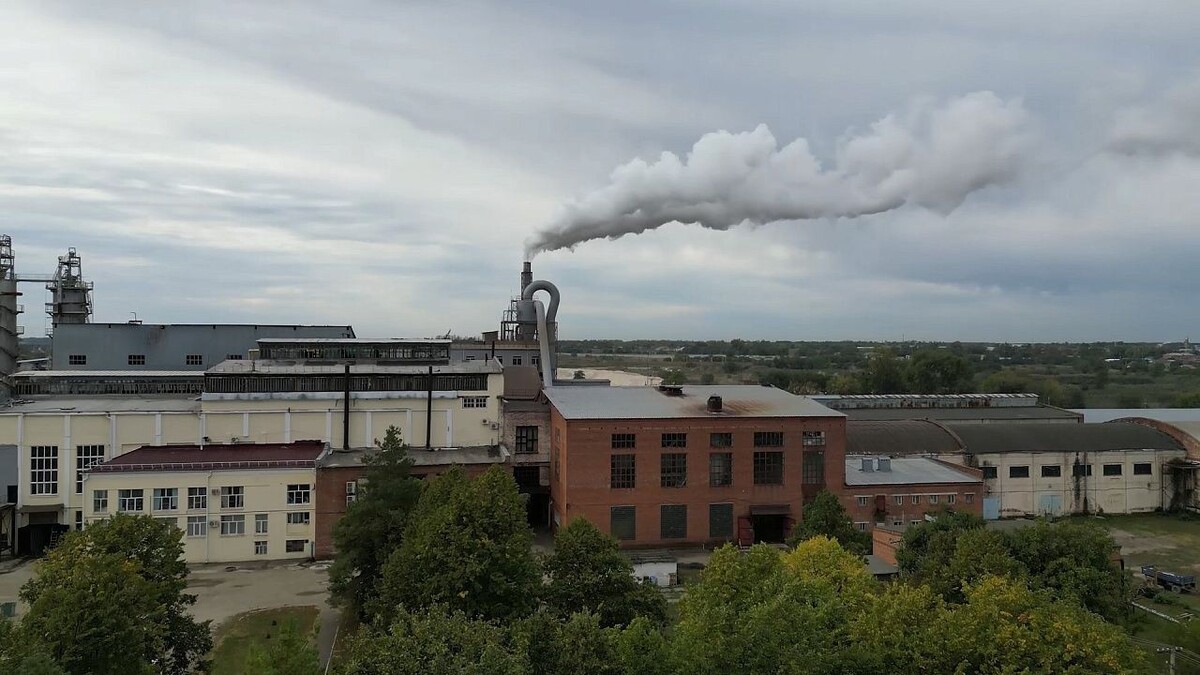    Фото: телеканал «Краснодар»