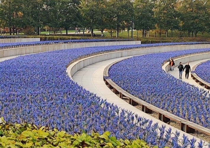    Фото: t.me/park_galitskogo