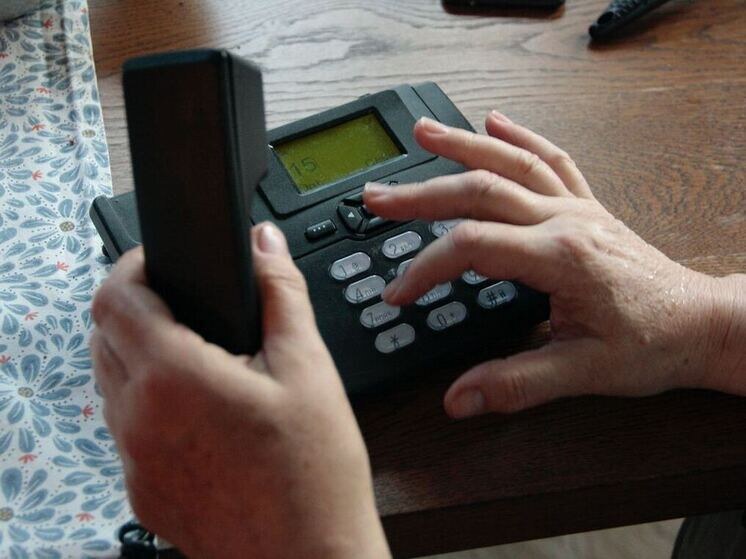     Фото: архив МК в Питере.