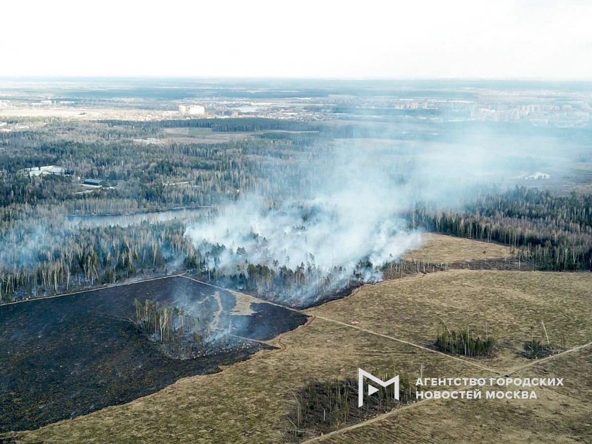 Фотограф: Мобильный репортер