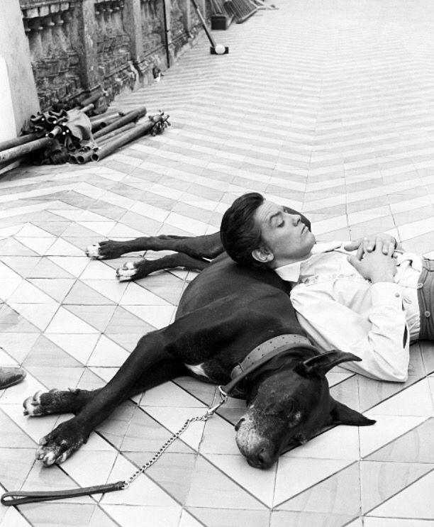 Ален Делон и собаки в молодости