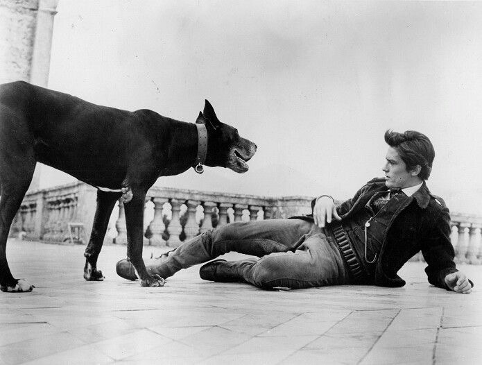 Ален Делон и собаки в молодости