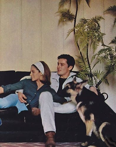 Семья Алена Делона