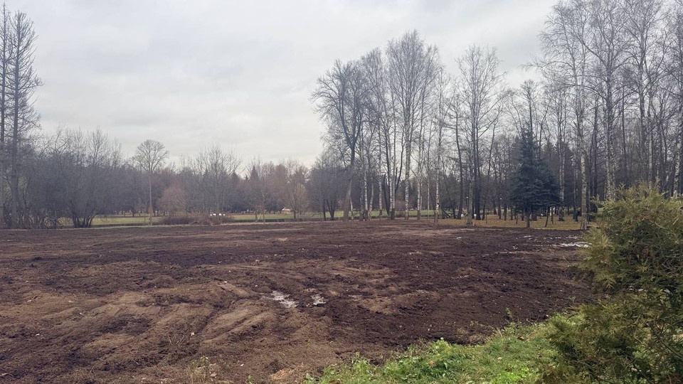    Фото: ККИ Петербурга