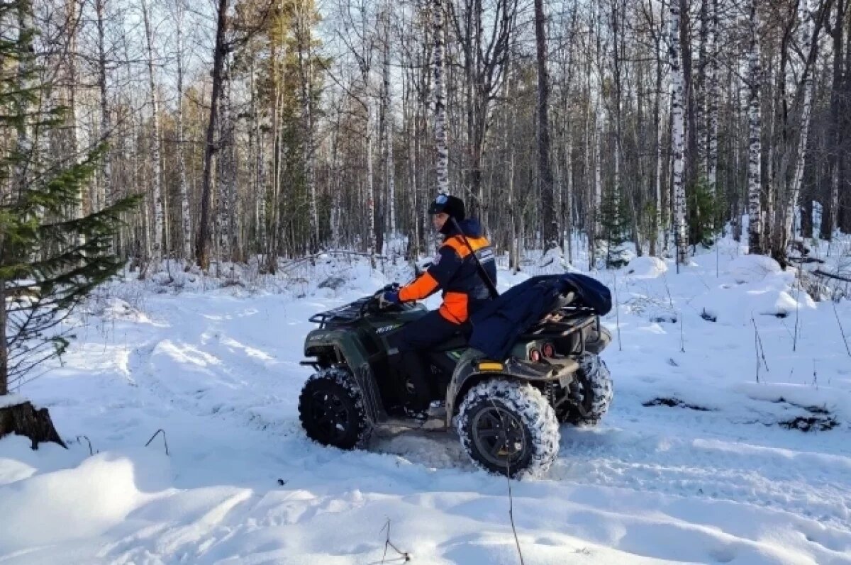    В «ЛизаАлерт» рассказали о возобновлении поисков Усольцевых в тайге