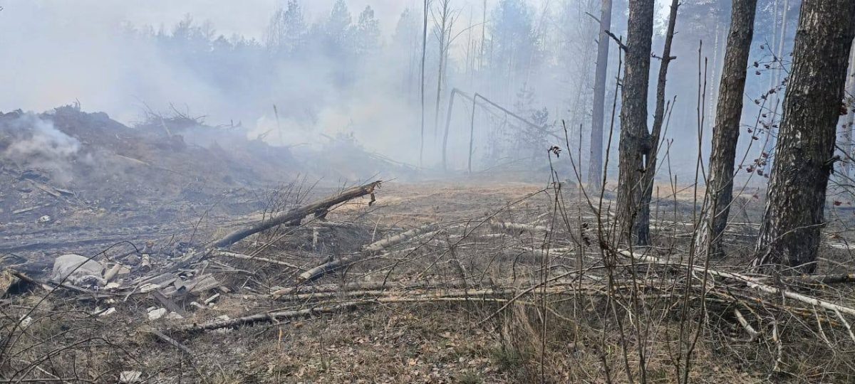    Суд постановил ликвидировать полигон, однако работы все еще не выполнили