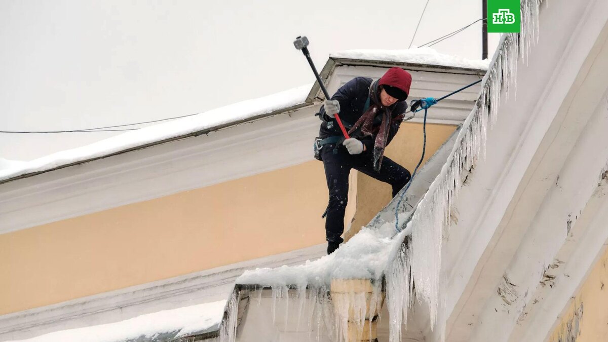    Фото: РИА Новости © 2025, Алексей Даничев