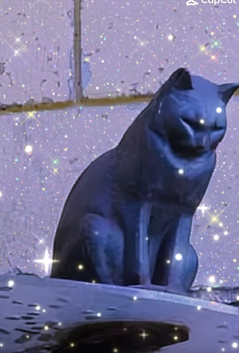 Кот Елисей на Малой Садовой 8