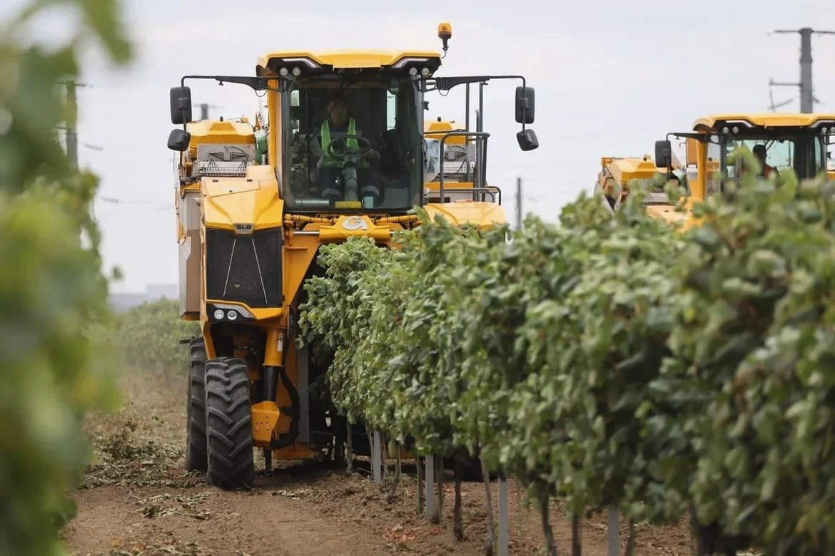Фото: Пресс-служба администрации Краснодарского края 