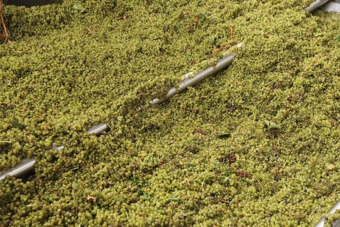 Фото: Пресс-служба администрации Краснодарского края 