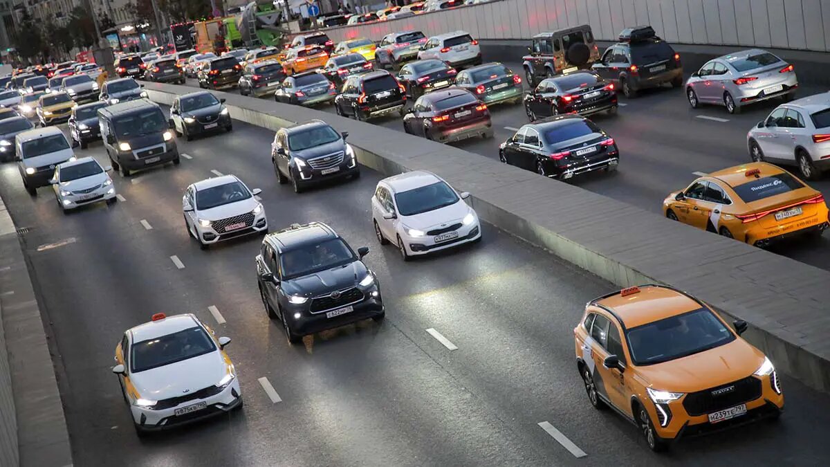    Фото: vm.ru Полина Белоусова