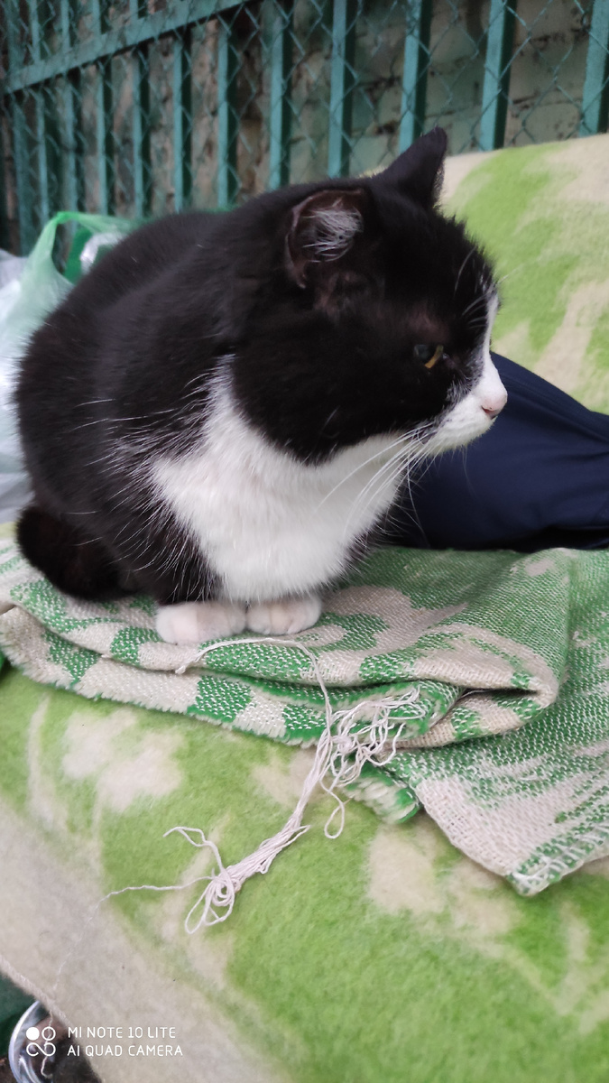 Брюшка сегодня