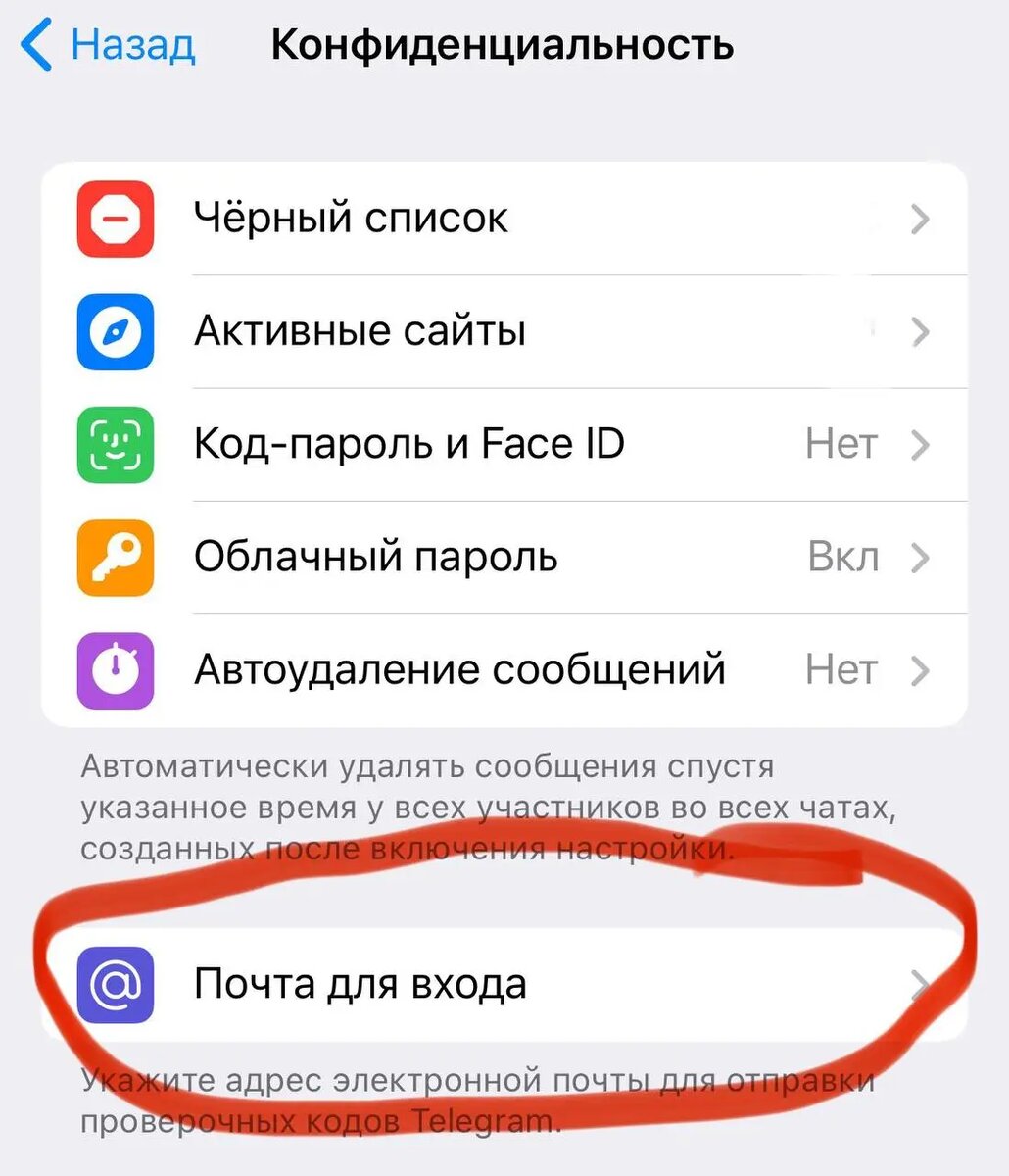    Фото: скрин из Telegram
