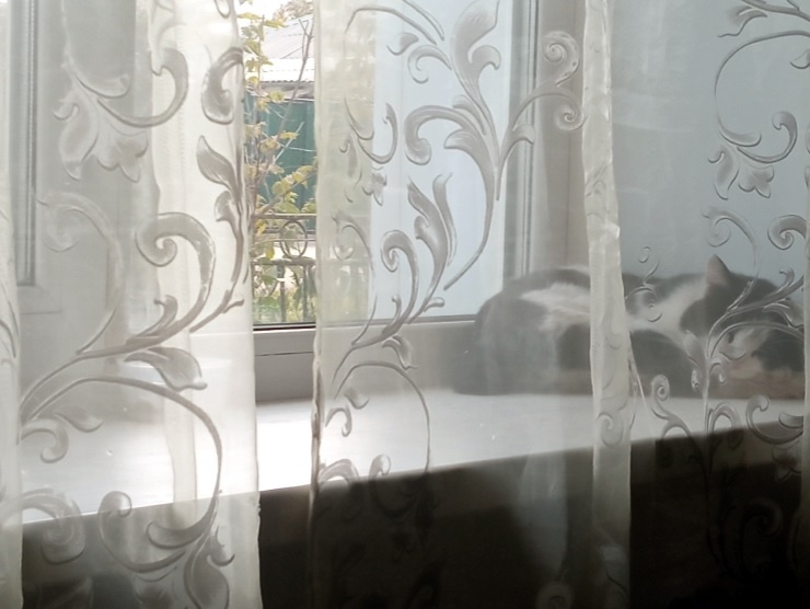 Спит между делом