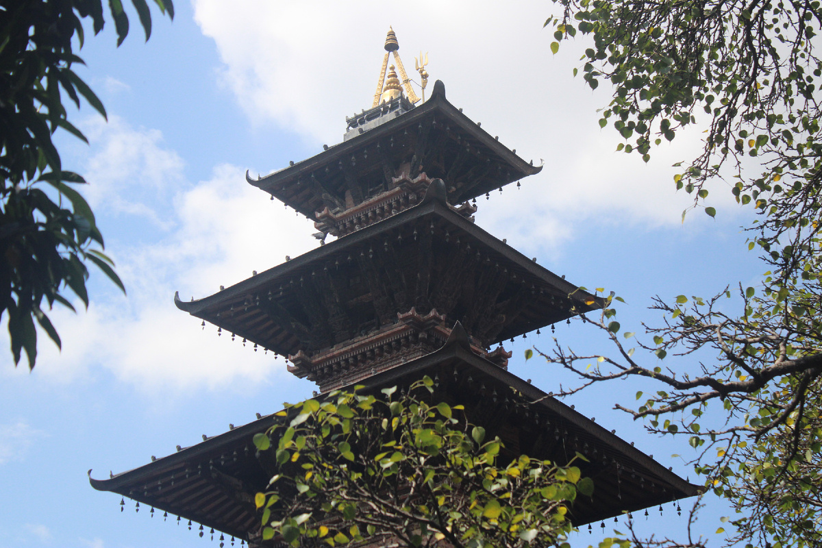 Летит в небо!