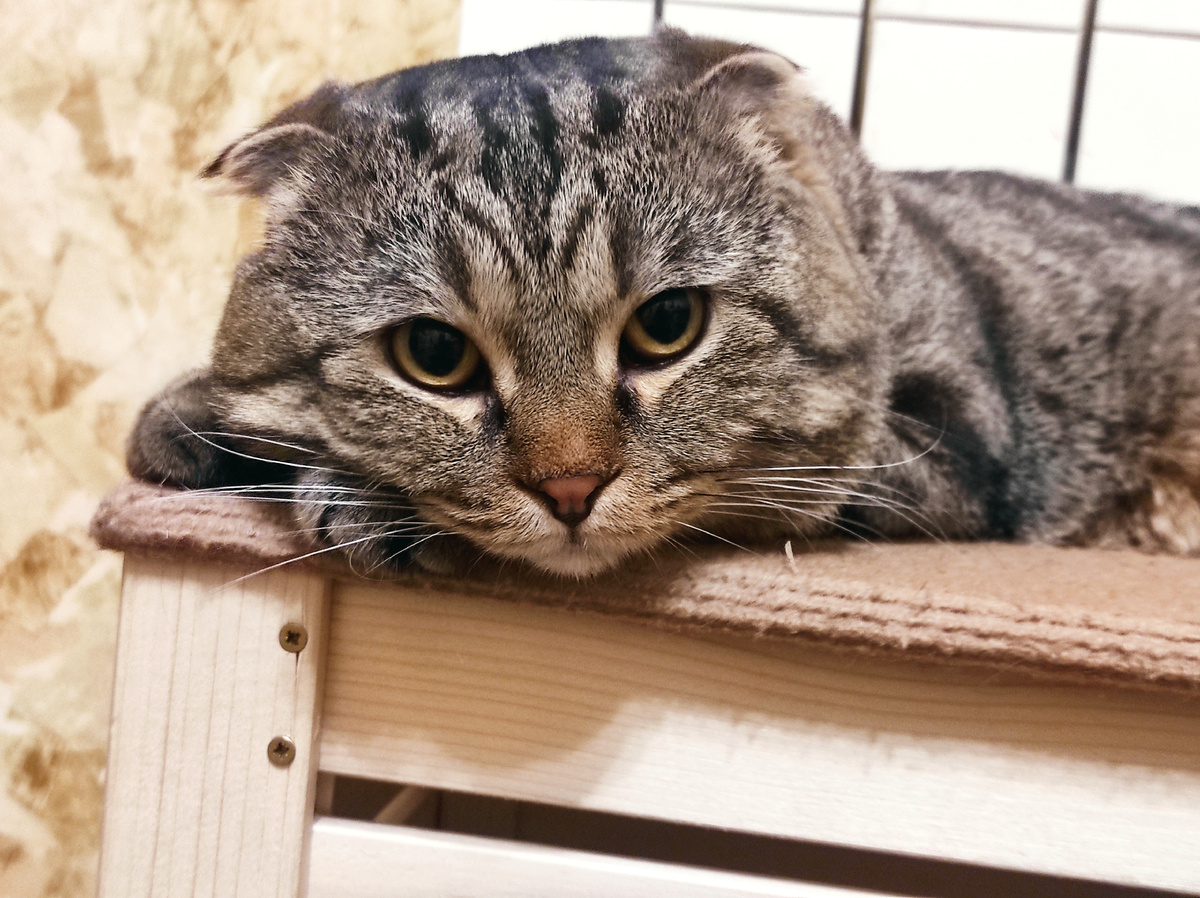 Серьёзная тема